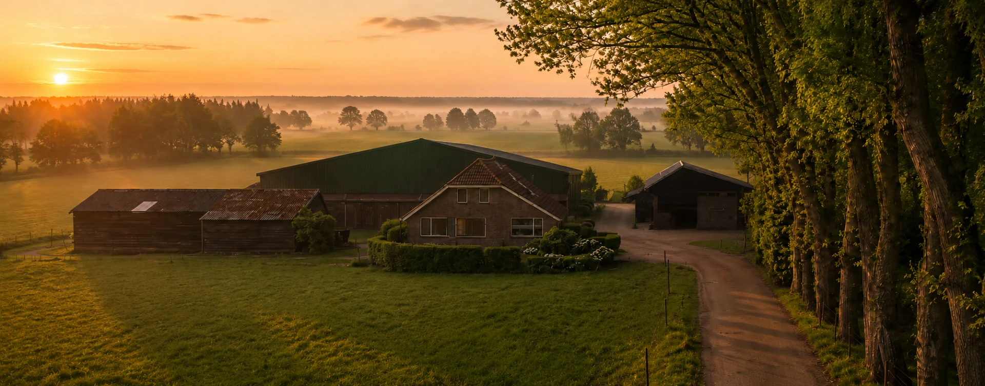 Verdam Familiebedrijf — landelijk landgoed in de ochtendmist